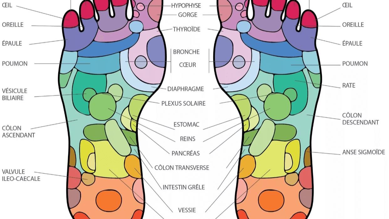 Réflexologie plantaire